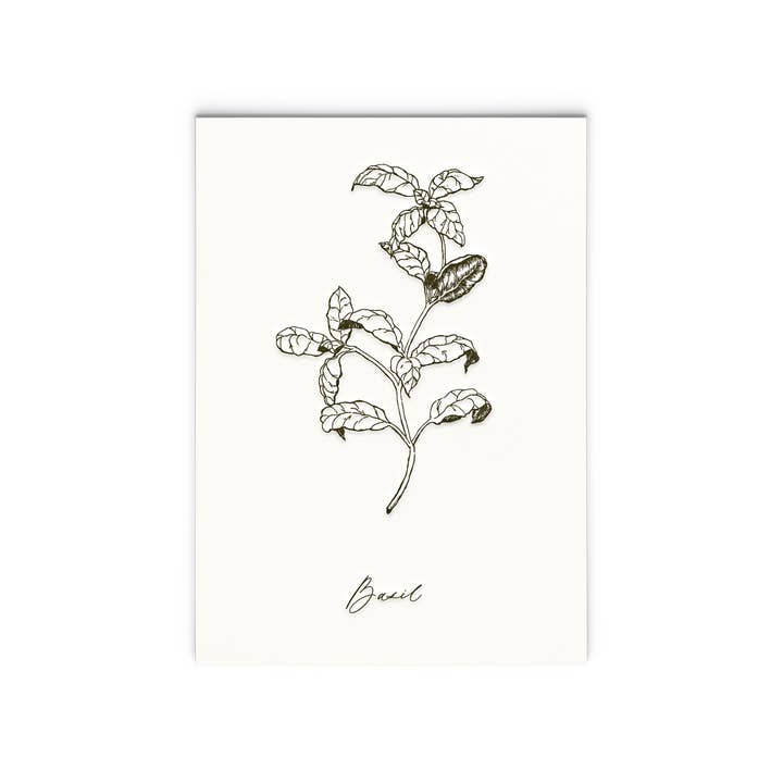 Basil | Letterpress Herb Series Art Print for wholesale by Ciarra Claire
