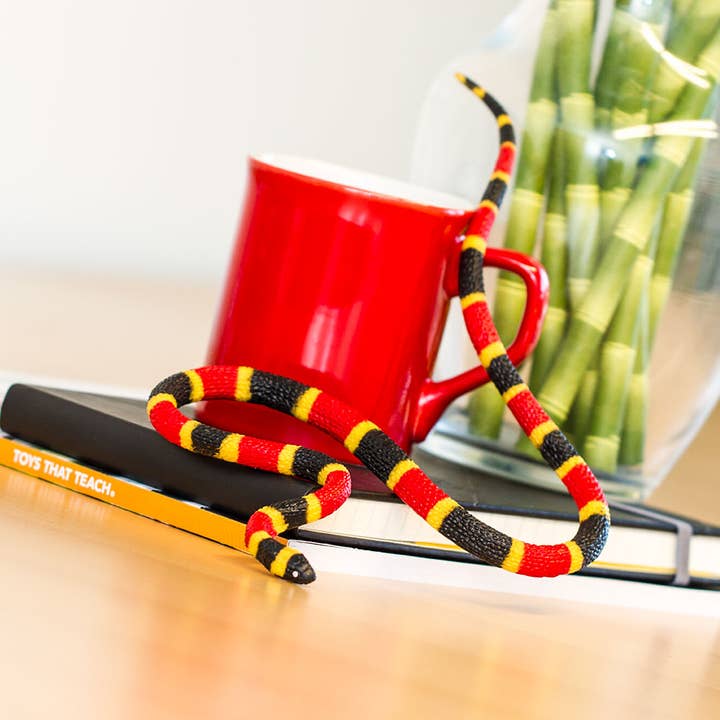 Safari Ltd. - Wholesale Figurine Toy - Kids - Coral Snake Baby - 263329