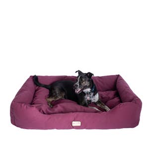 Purchase Wholesale orthopedic dog bed. Free Returns & Net 60 Terms on Faire
