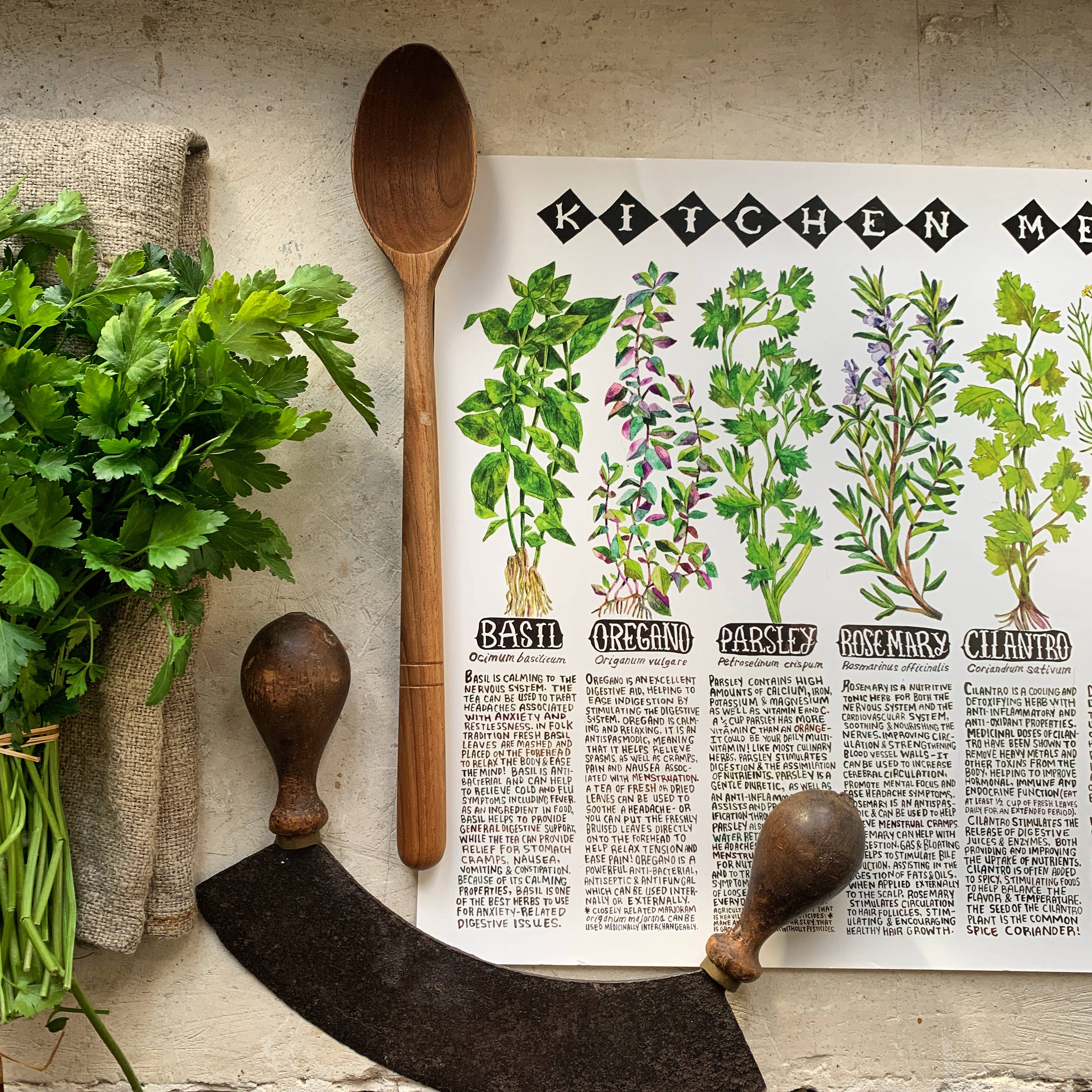 Thyme Herbal – wholesale Poster – Kitchen Medicine affisch3