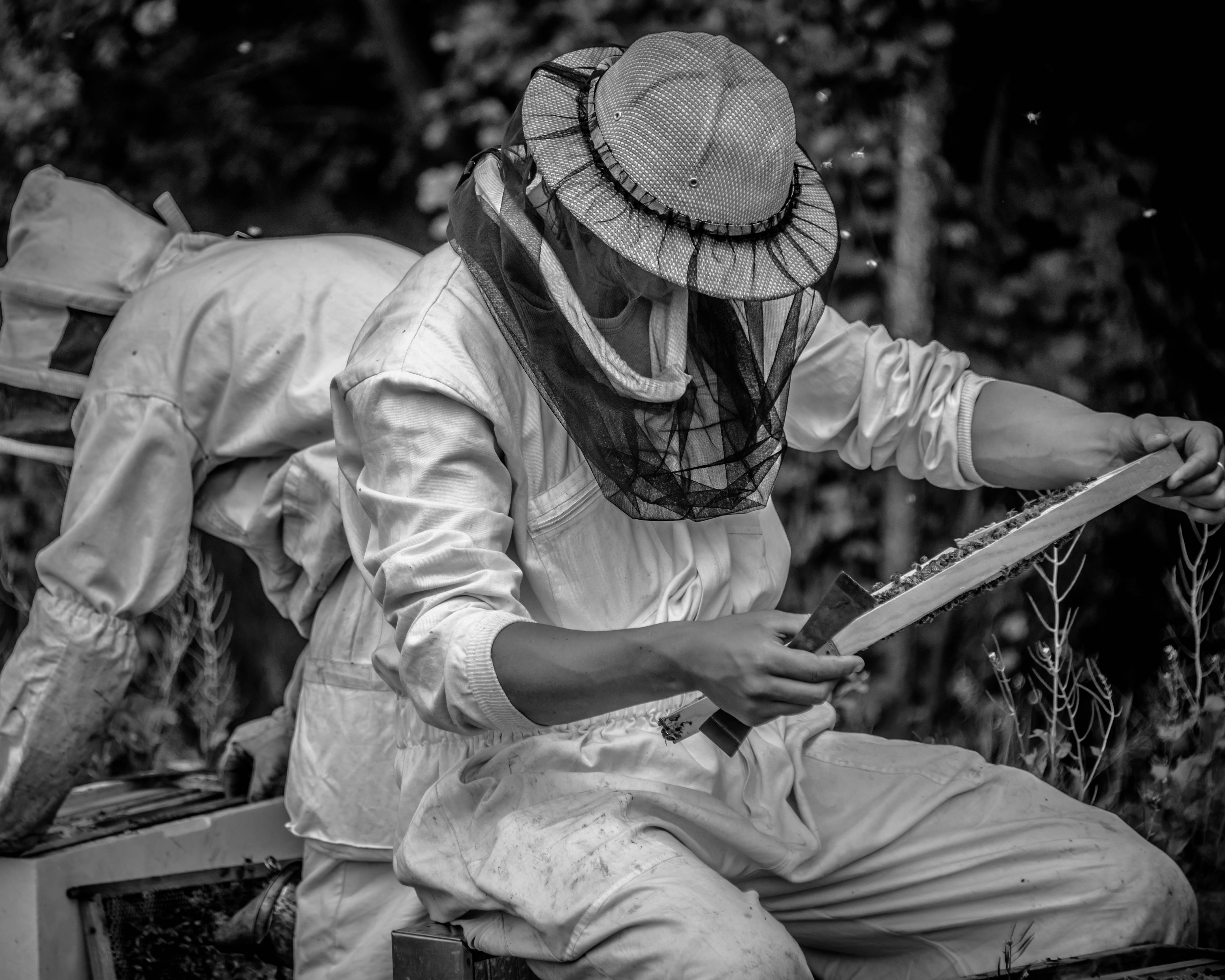 La Manufacture du Miel - Wholesale Honey - Burgundy raw honey - 250g3