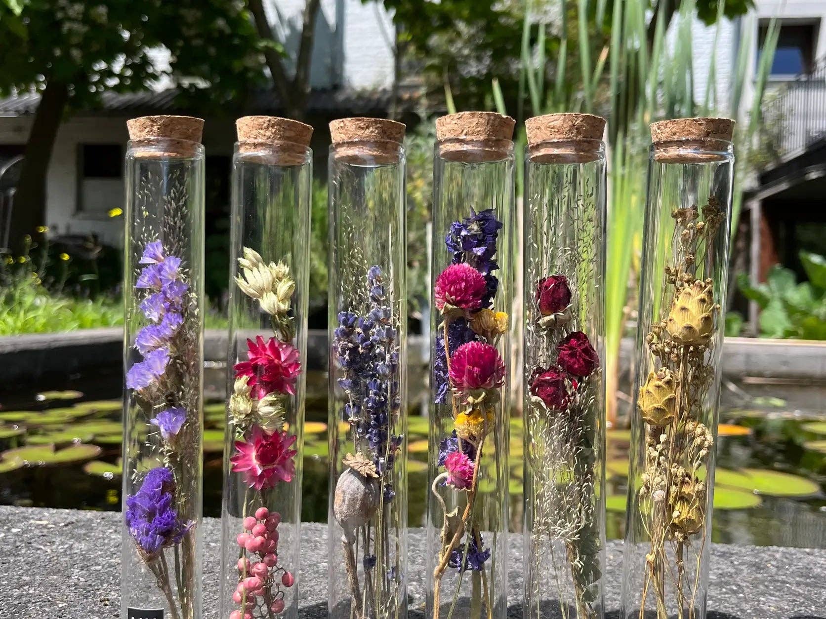 Muno - Wholesale Dried/Pressed Flowers - TUBE 20 CM WITH DRIED FLOWER - Gift3