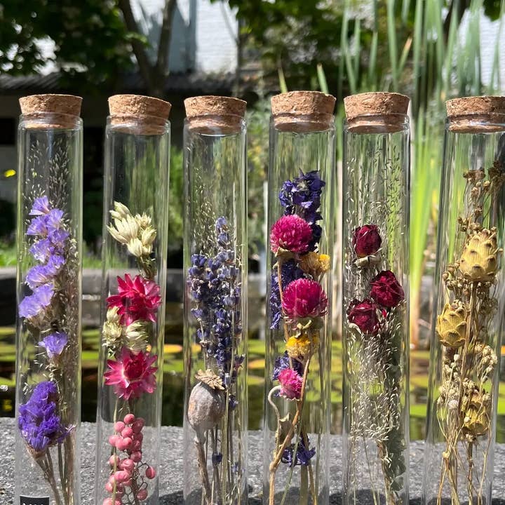 Muno - Wholesale Dried/Pressed Flowers - TUBE 20 CM WITH DRIED FLOWER - Gift3