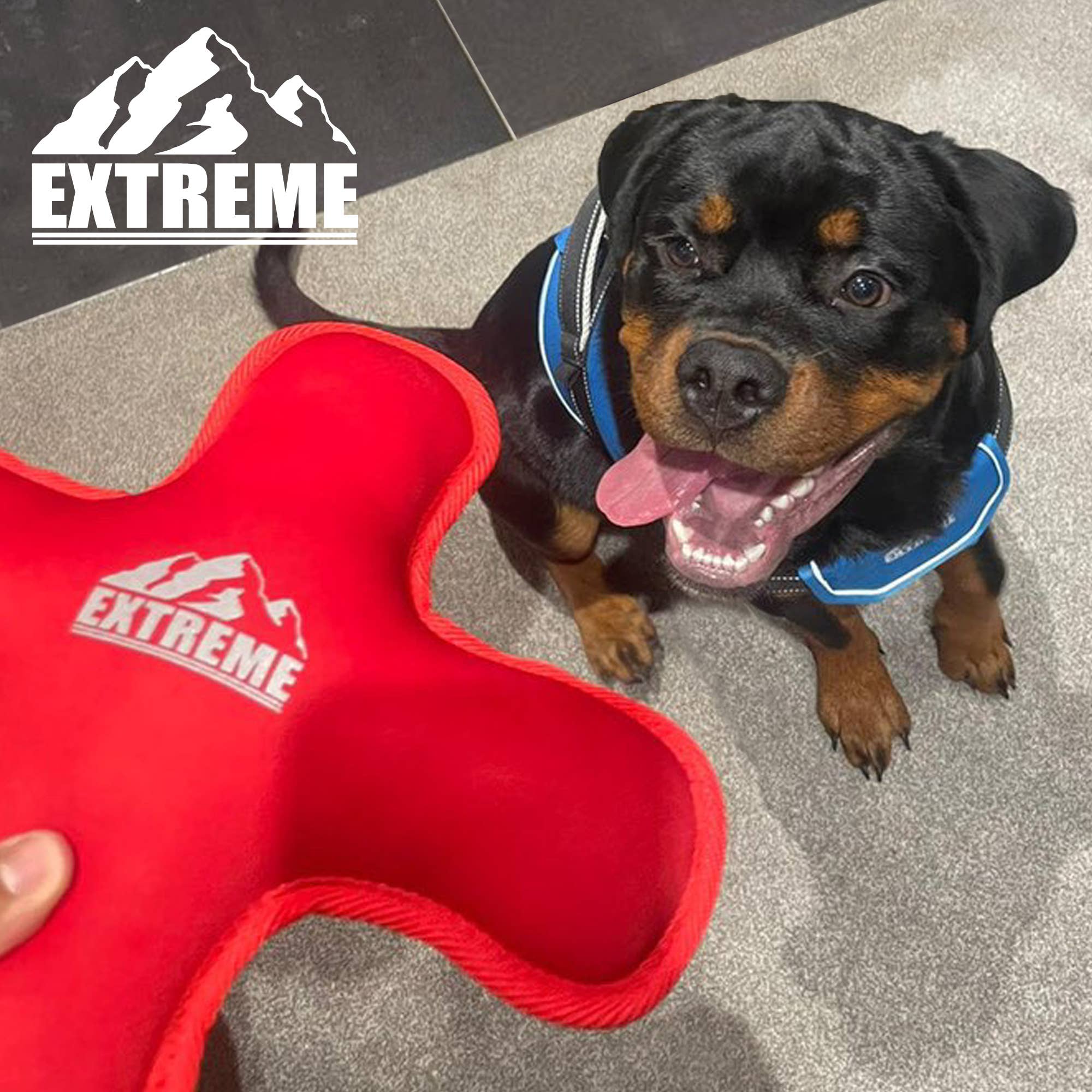 Ancol Pet Products Ltd – Engroshandel Legetøj - Hund – Ancol Extreme Flydende Legetøj Mix Pack2