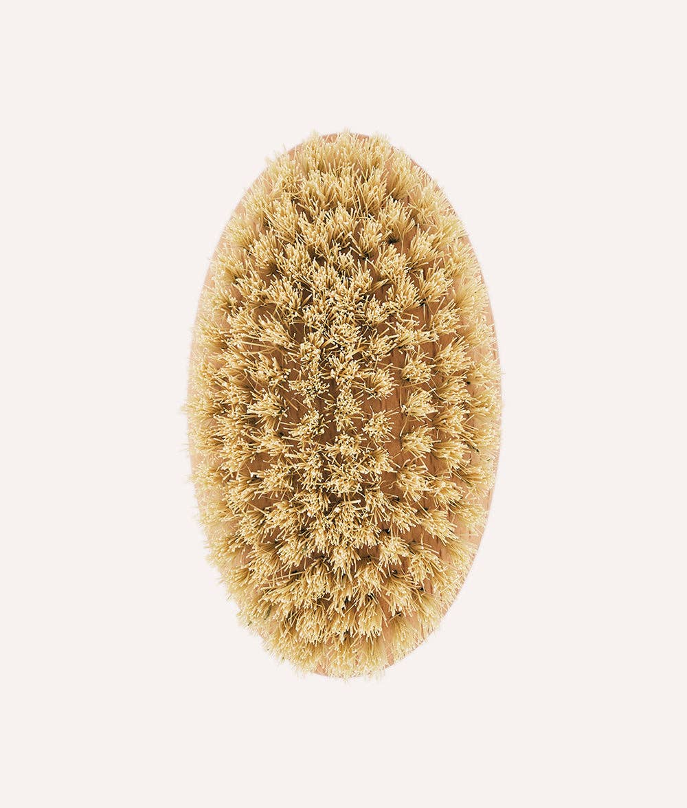 CAFIDE – wholesale Pet brush – Cat/dog – Short Hair Dog Brush, Teo3