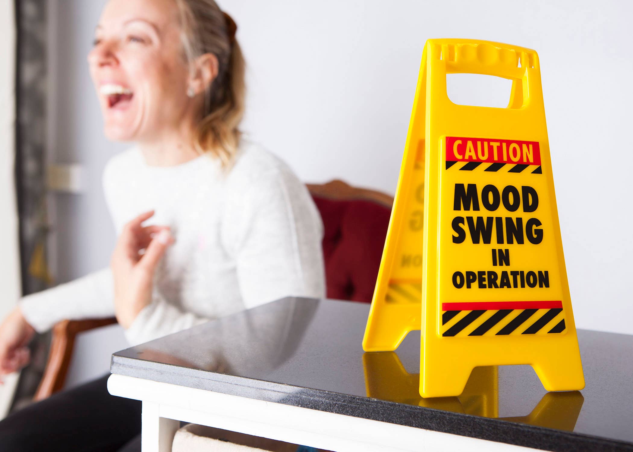 Boxer Gifts - Wholesale Gag Gift/Novelty Gift - Mood Swing Desk Warning Sign - Novelty/Gag Gifts For Adults4