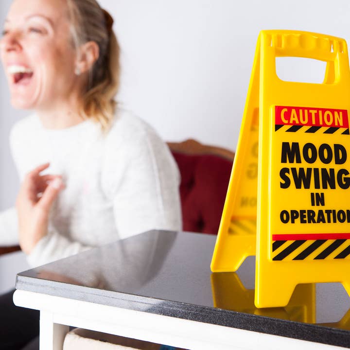 Boxer Gifts EU - Wholesale Gag Gift/Novelty Gift - Mood Swing Desk Warning Sign - Joke/Novelty Gifts4