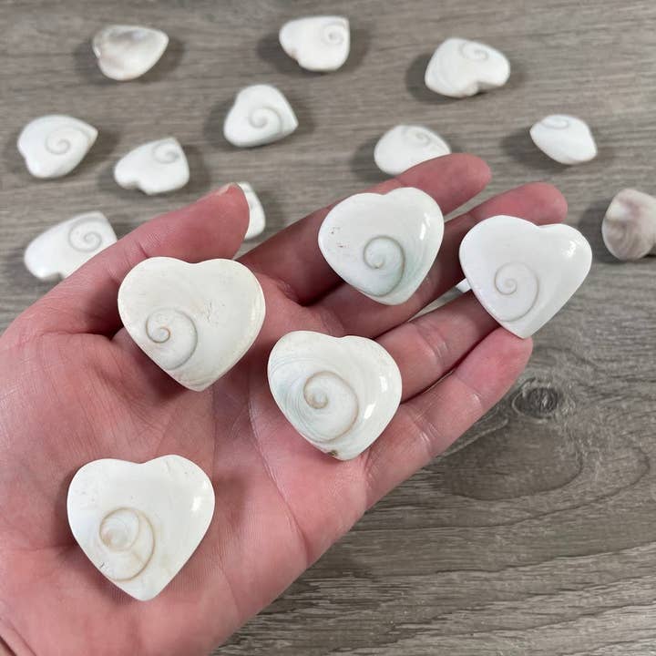 Keystone Crystals - Wholesale Spiritual Stone/Crystal - Shiva Eye Shell Heart – Metaphysical Decor & Gift Item