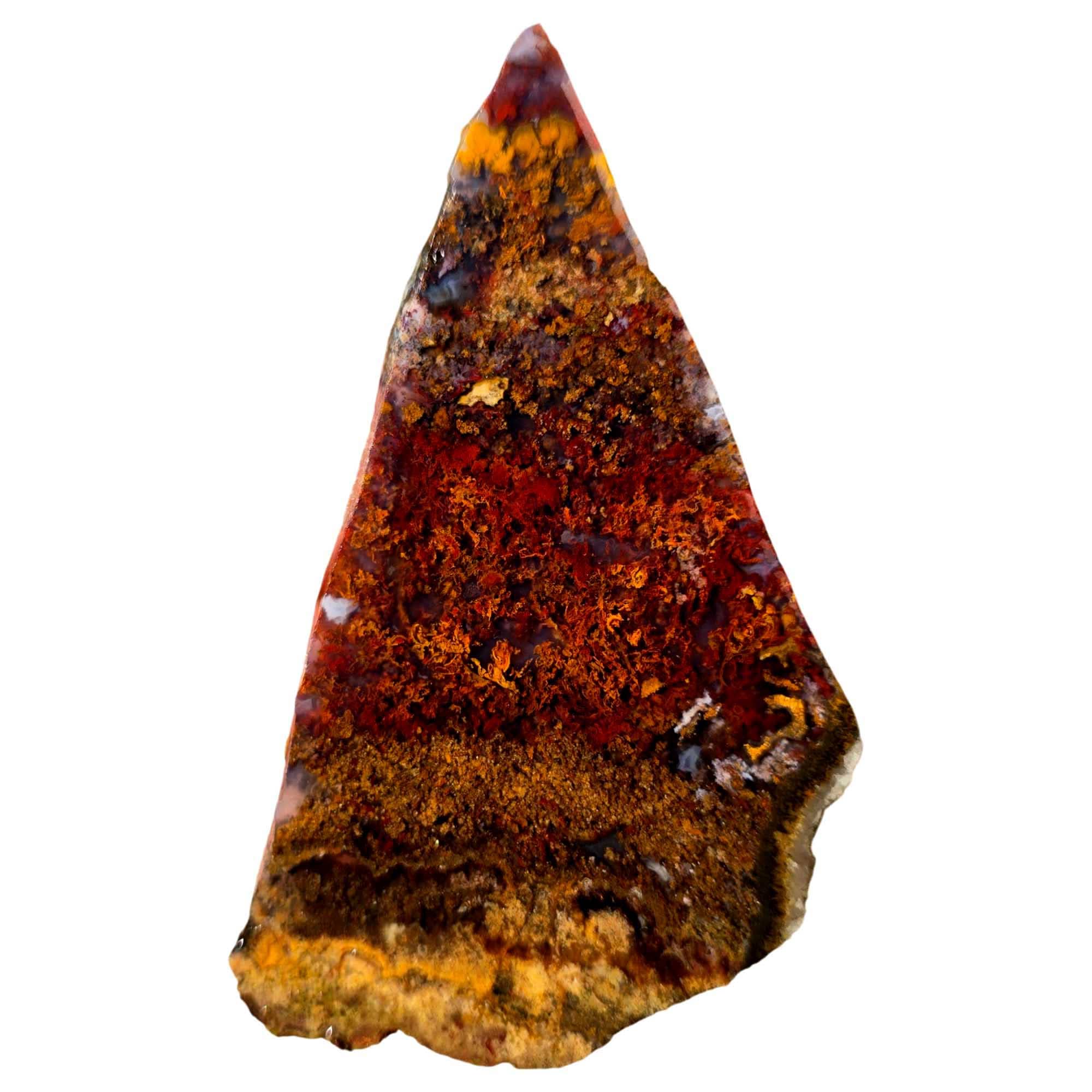 Lapidary Central - Wholesale Spiritual Stone/Crystal - San Carlos Agate Slab Vibrant Red Moss and High-Contrast Agate Pattern0