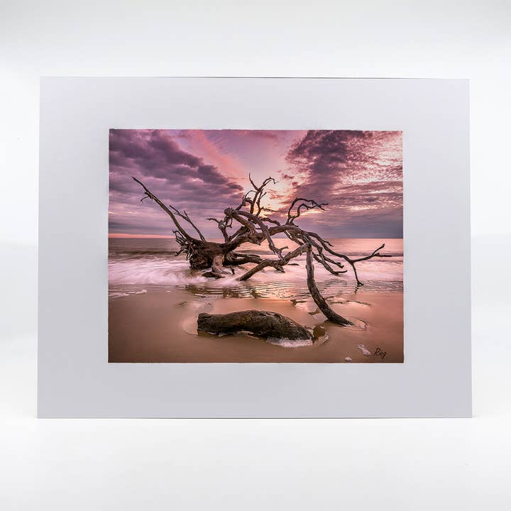 Artwork-Driftwood Beach 1 for wholesale by Mike Ring Photography