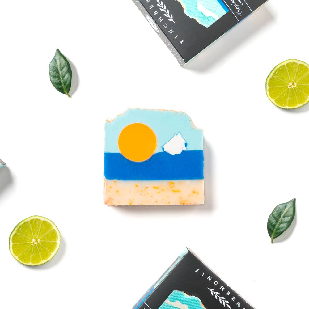 FinchBerry - Wholesale Bar Soap - Tropical Sunshine Vegan-friendly Gluten-free Boxed Soap3