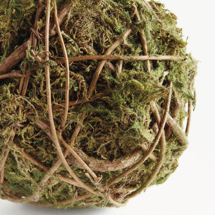 Vert Orbe Mossy Vine 6 pouces en vente sur Faire3