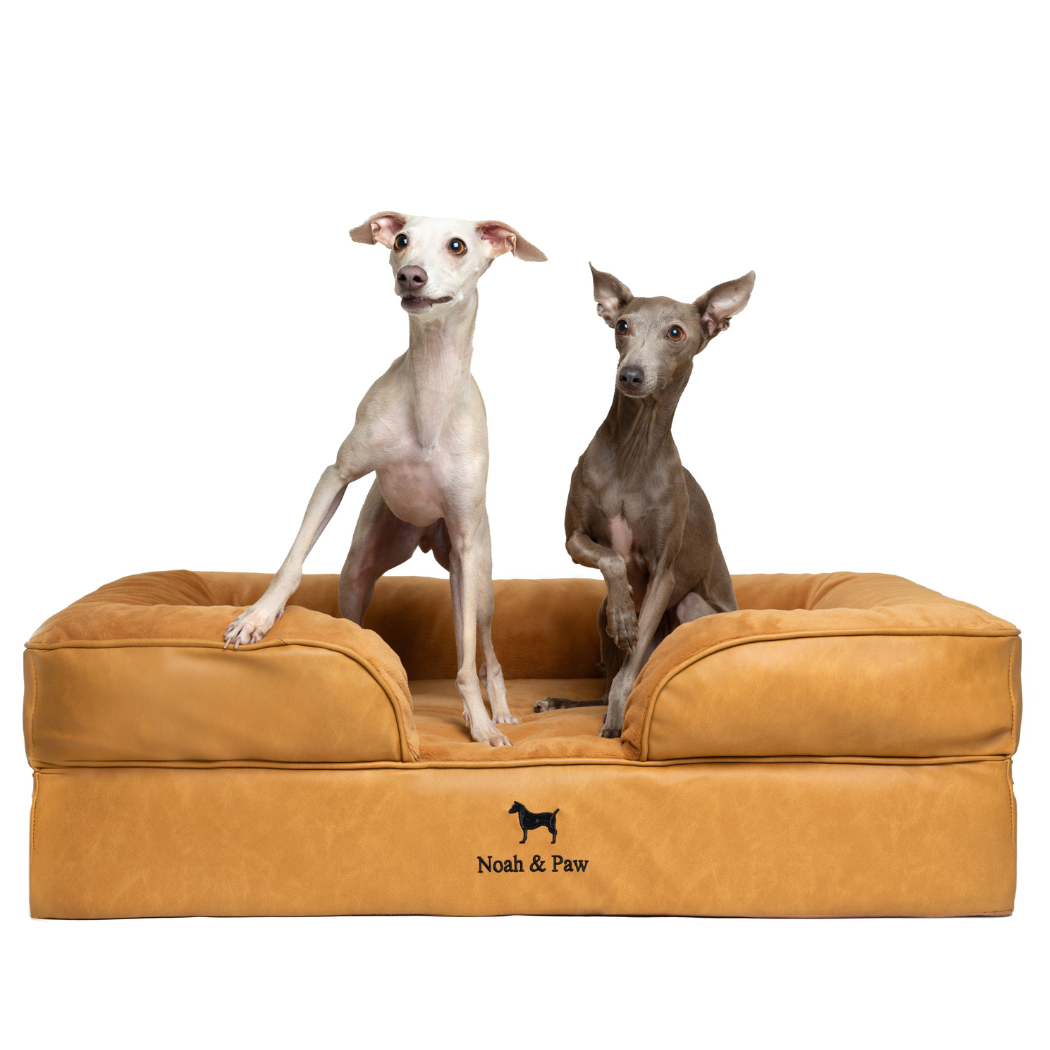 NOAH AND PAW LLC – Großhandel Haustierbett – Katze/Hund – Orthopädisches Hundebett im Sofastil aus Kunstleder mit Memory-Schaum und kühlendem Gel7