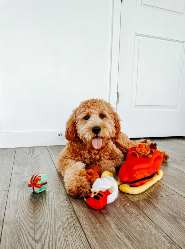 Midlee Designs – wholesale Pet plush toy – Dog – Midlee Santa Sleigh Find a Toy Christmas Dog Toy10