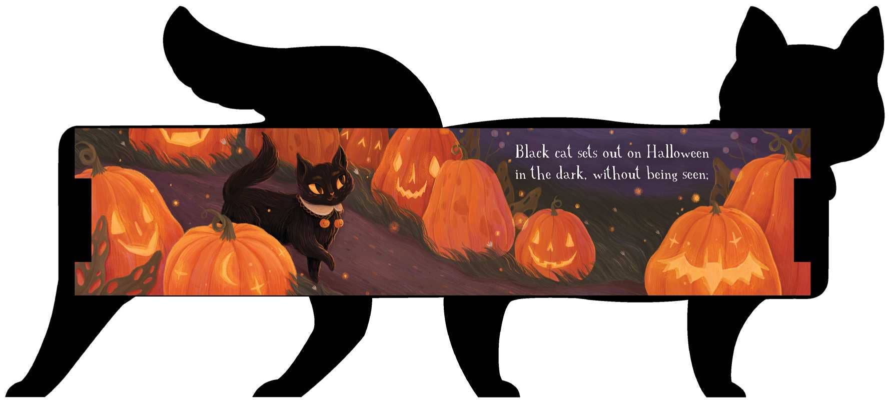 Simon & Schuster - Wholesale Preschool Book (3-5) - One Black Cat by Robie Rogge1