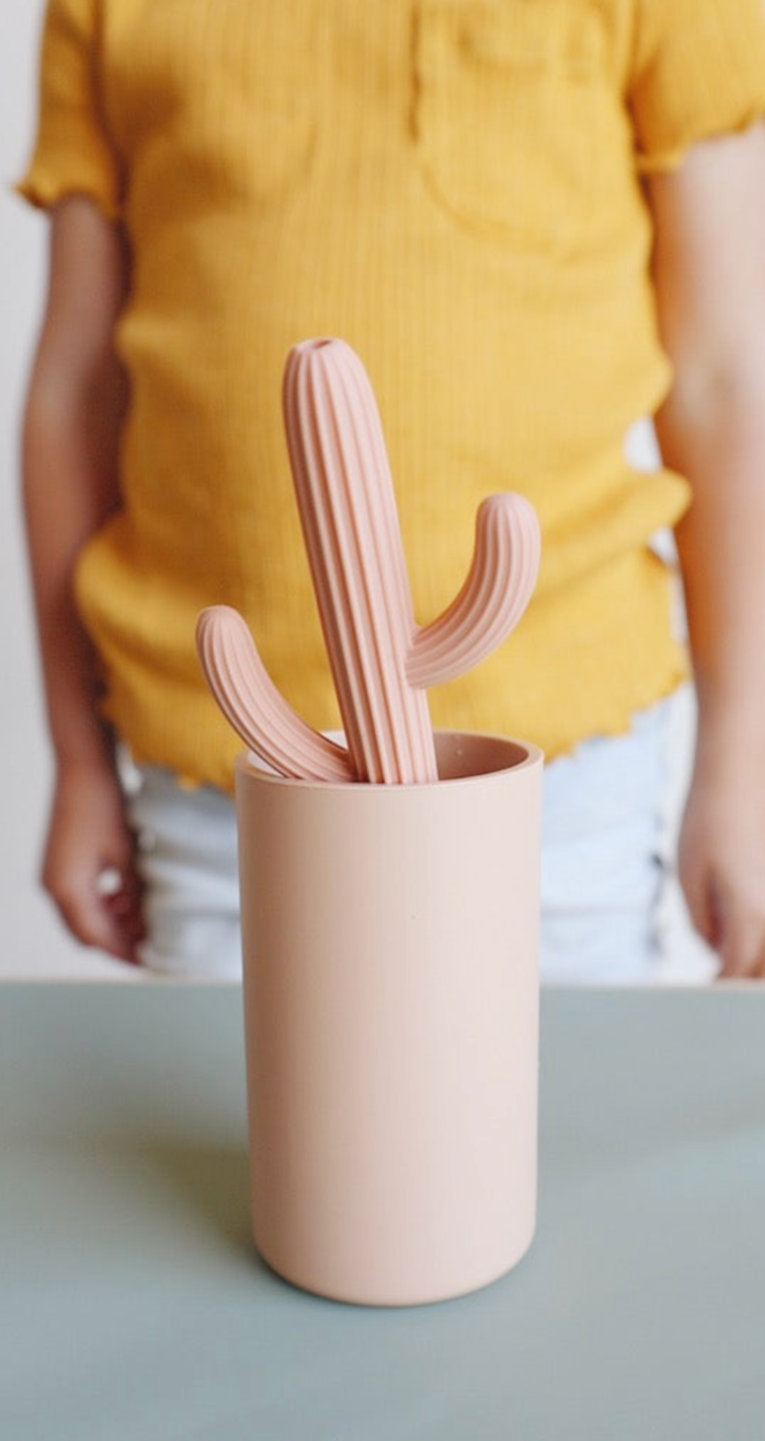 Ed & Co. - Wholesale Teether (Not Clip-On) - Baby - Dark Gray Cactus Teether4