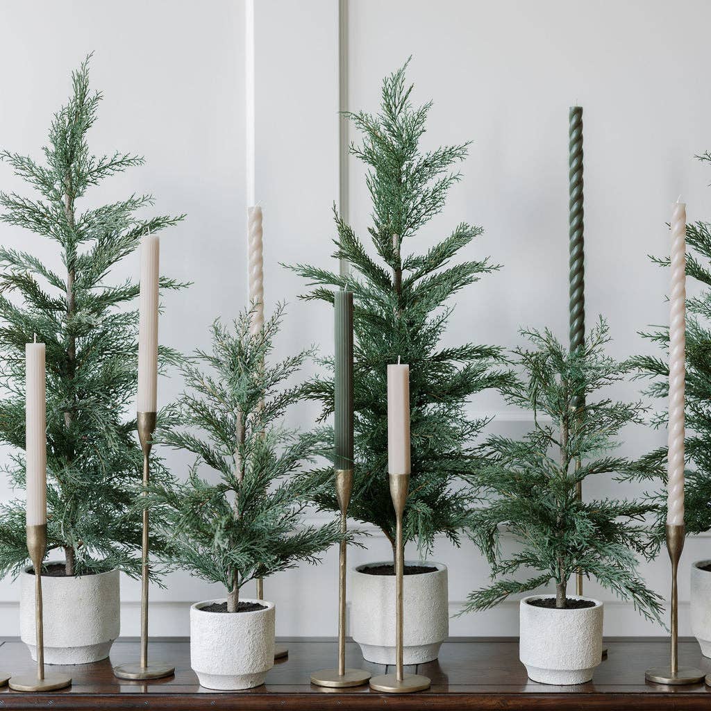 CG Hunter - Wholesale Artificial Plant - 24" / 2’ Artificial Evergreen Cedar Tree Set5