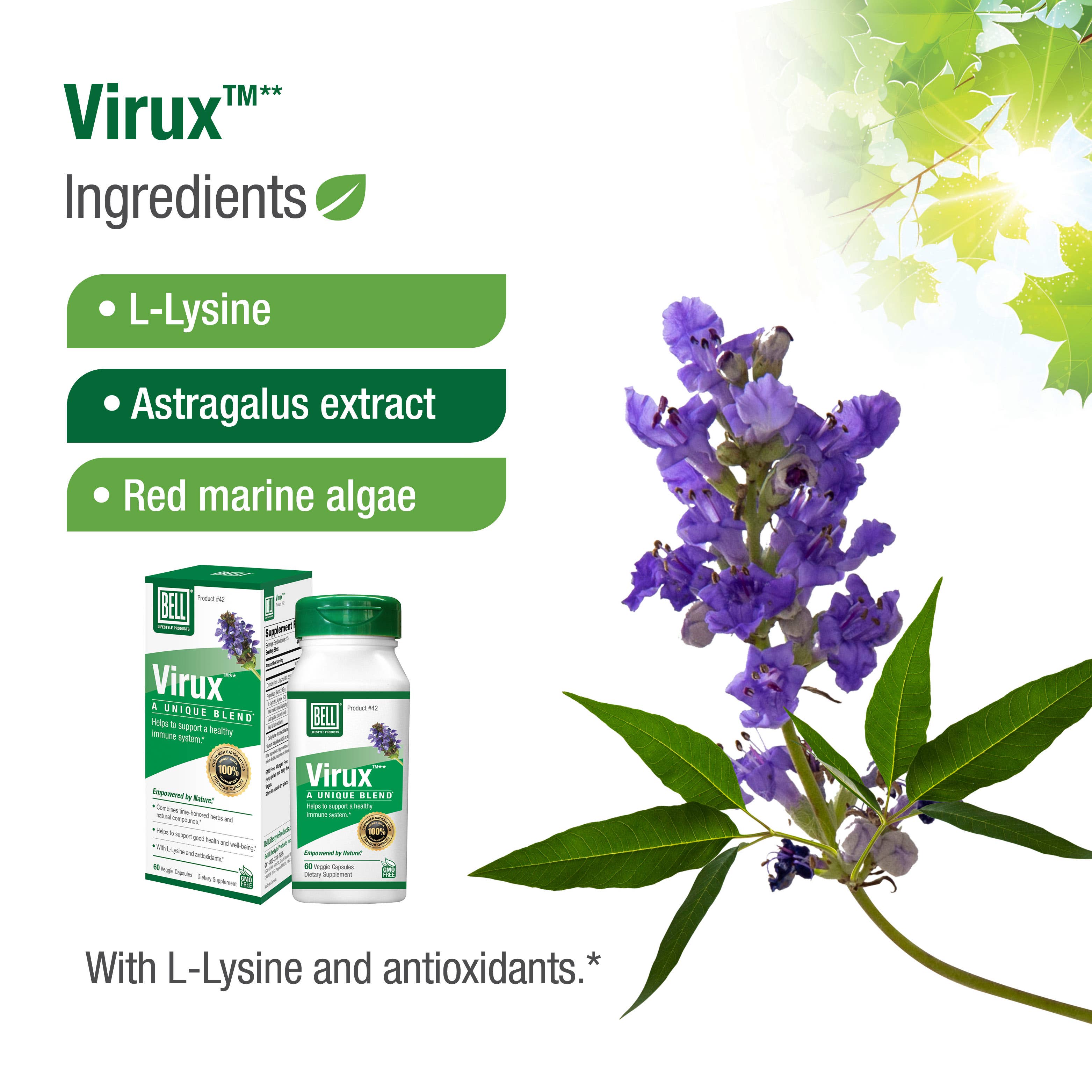 Bell Lifestyle Products Inc. - Wholesale Oral Supplement/Vitamin - Virux™ - Immune Support Formula for Daily Wellness4