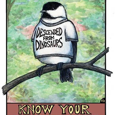 Ricardo Levins Morales Art Studio - Wholesale Stationery/Notecard Set - Conscious Critters Card Pack - Set of 124