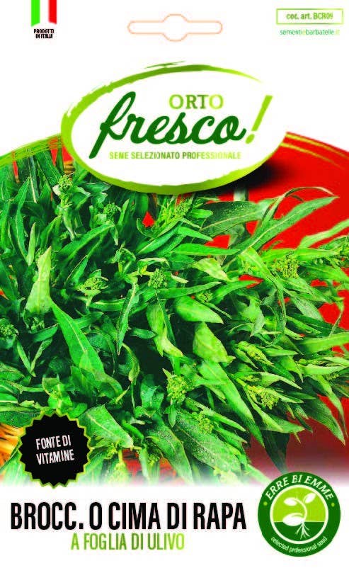 Sementi & Barbatelle - Wholesale Plant Seeds - Broccoli or Olive Leaf Turnip Tops0