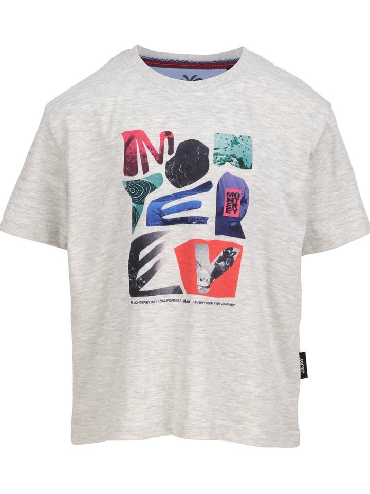 T-shirt grigia a manica corta da bambino con motivo frontale per la vendita all'ingrosso da parte di J&JOY