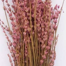 CAPELLINA - Venta al por mayor Flores secas/prensadas - RAMILLETE DE LAVANDA MORADA