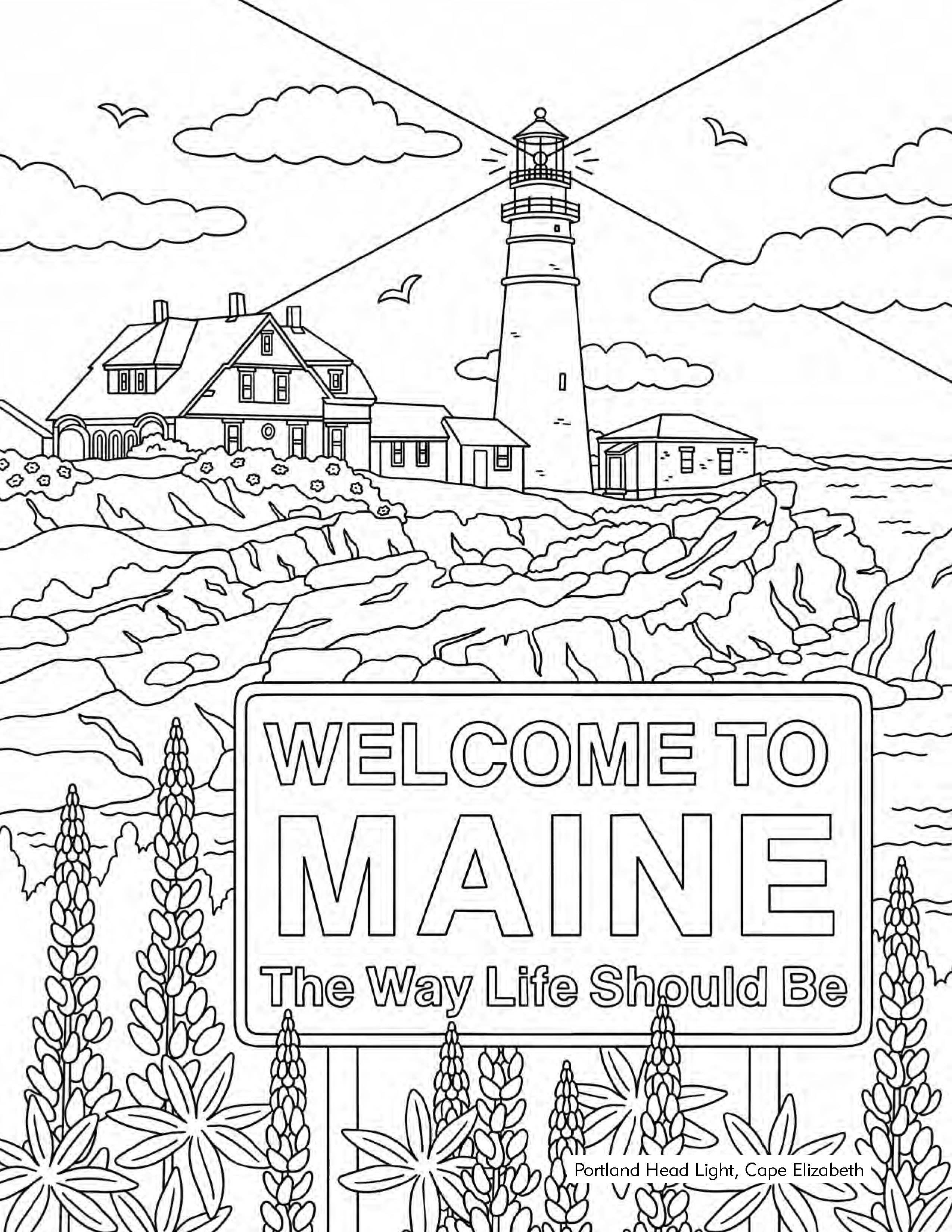 Arcadia Children's Books - Wholesale Coloring & Activity Book - Kids & Baby - Color Me in Maine: A Coloring Book for All Ages2