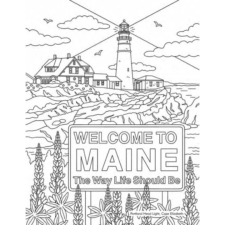 Arcadia Children's Books - Wholesale Coloring & Activity Book - Kids & Baby - Color Me in Maine: A Coloring Book for All Ages2