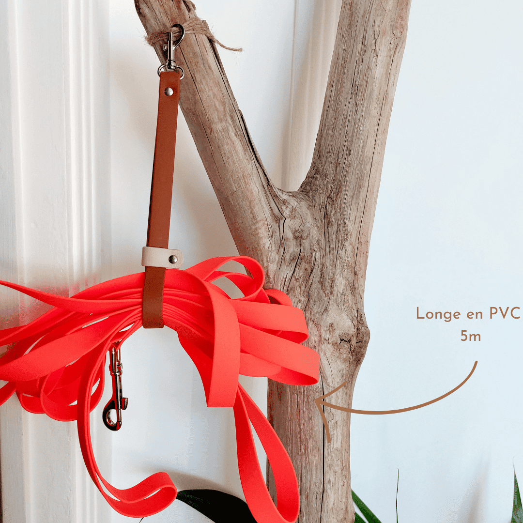 Truffe & Flair - Vente Accessoire de toilettage – hors chat et chien - Range longe chien - Biothane - 32 coloris au choix 6