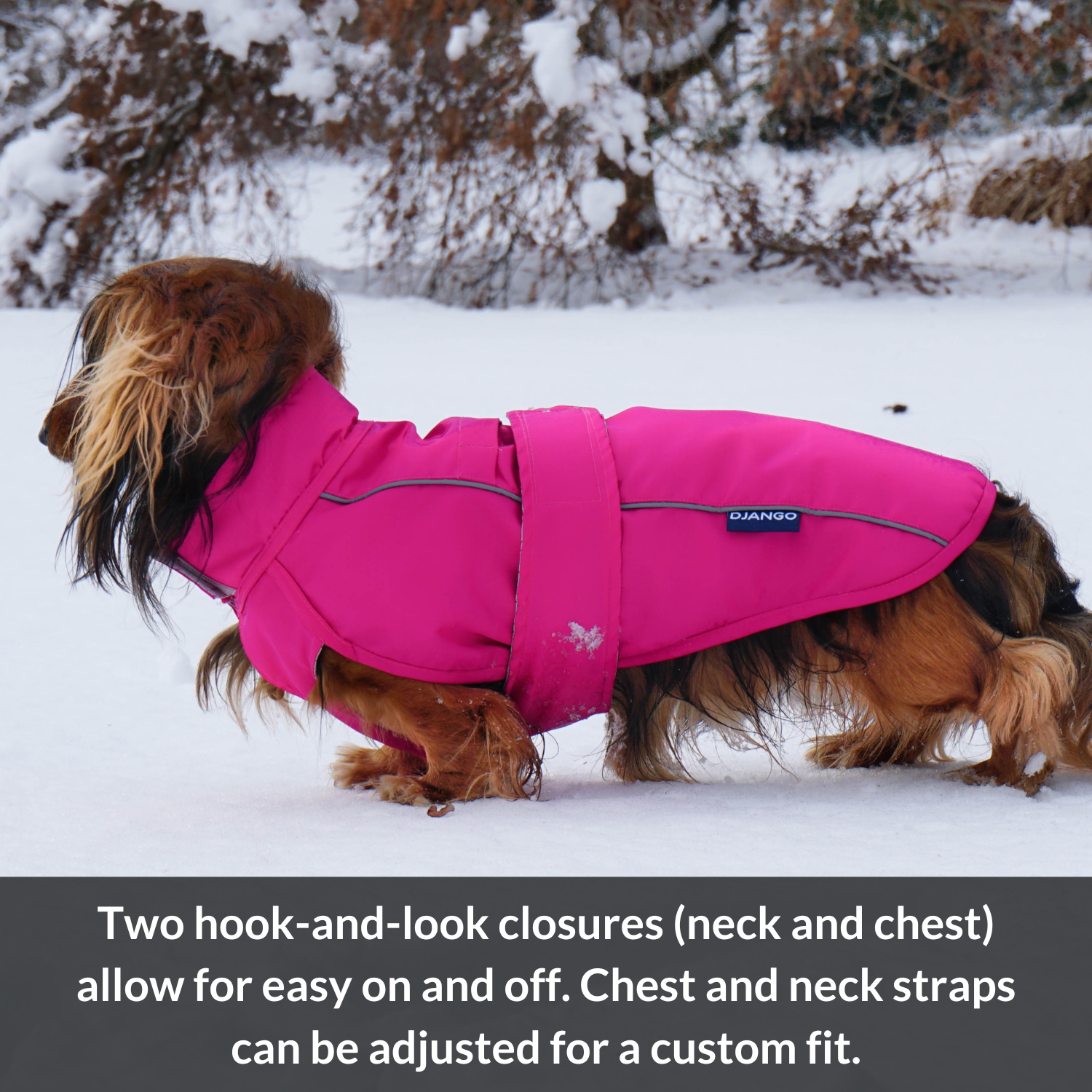 DJANGO - Wholesale Pet Raincoat - Dog - City Slicker Dog Jacket & Raincoat - Cerise Pink6