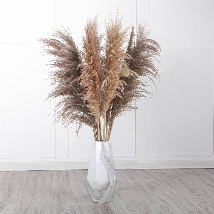 Mollie Sophia Ltd - Wholesale Dried/Pressed Flowers - Large Pampas Grass Dried Flowers Fluffy Pampas Collection