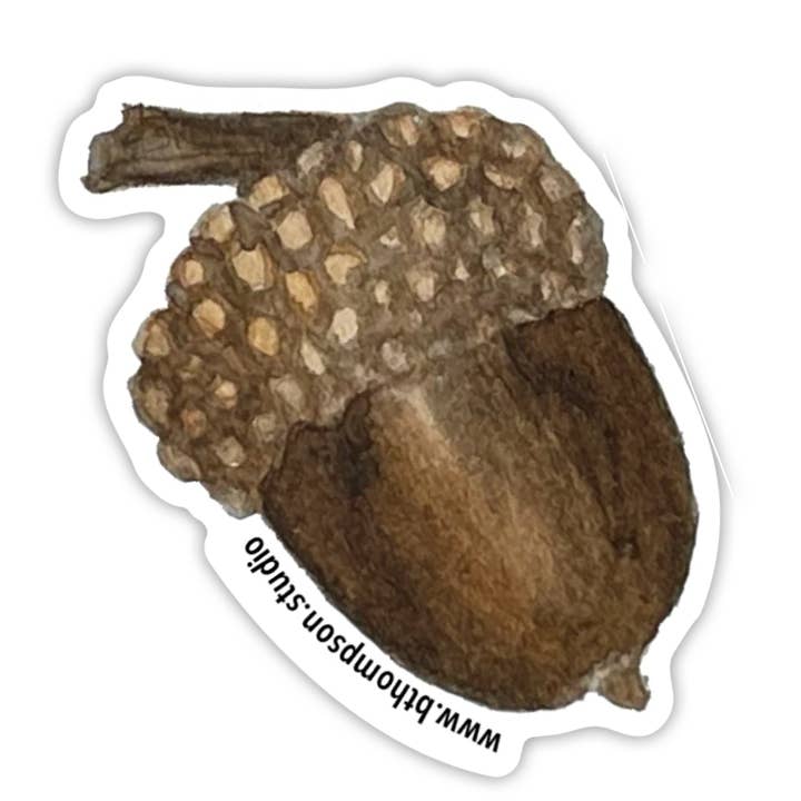 Acorn Sticker for wholesale by Broad Bloom