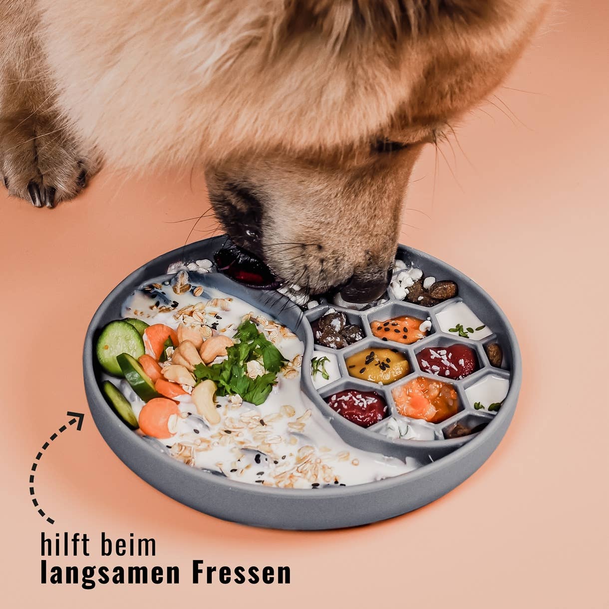 ne&no - Wholesale Pet Bowl - Cat/Dog - ne&no® Anti-Gulping Bowl / Licking Dish for Dogs & Cats29