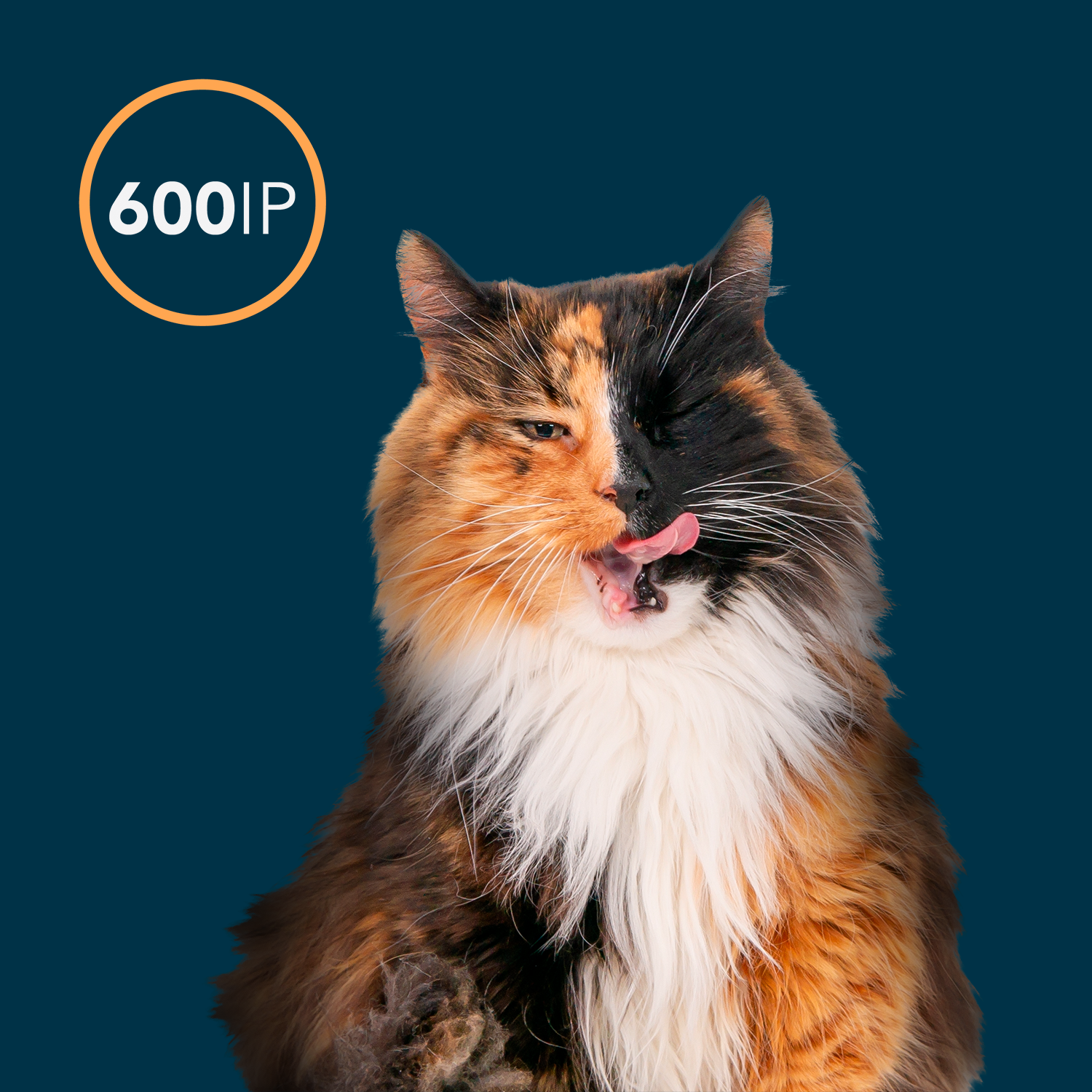 OxxyO3 VET - Wholesale Pet Shampoo - Dog - Oxxy Vet Shampoo Pets 200 ml2