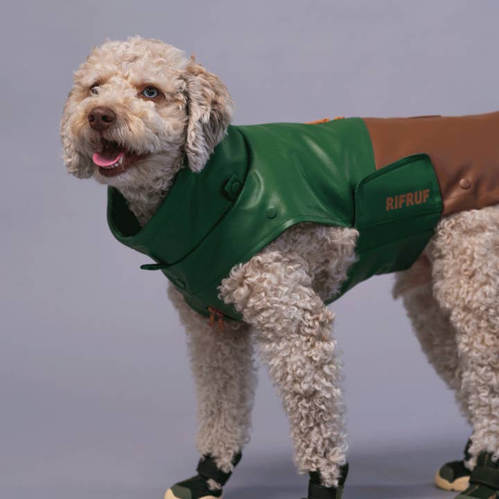 RIFRUF - Wholesale Pet Boots - Dog - Caesar 1 Durable Dog Sneaker with Knitted Mesh29