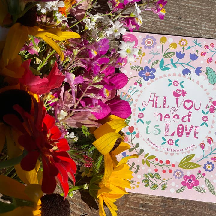 Bentley Seed Co. - Wholesale Love Card - All You Need is Love Fun Wildflowers6