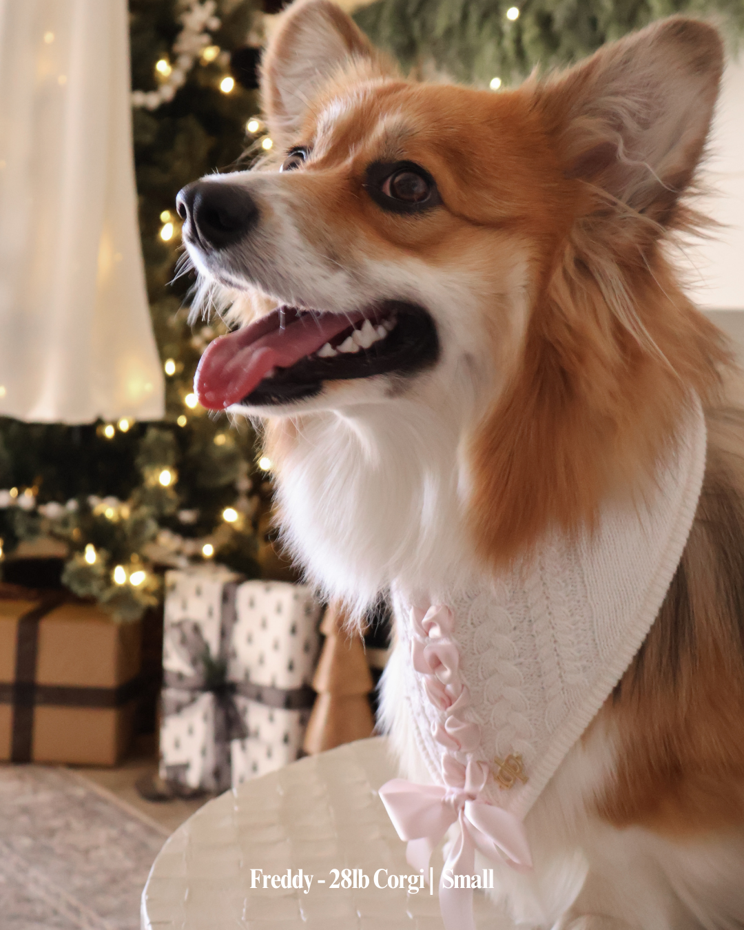 The Deluxe Pup - Vente Bandana – chien - BANDANA | CLARA BOW3