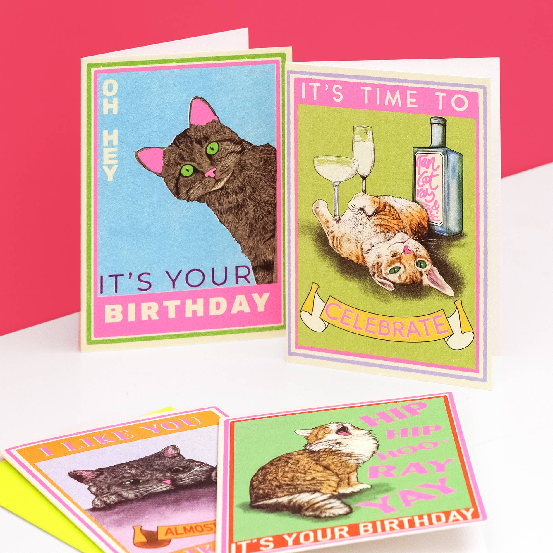 Fawn & Thistle Ltd (US Duties Paid) – postal de parabéns por atacado – Cartão de Aniversário Hip Hip Hooray com Gato | Cartão de Parabéns5