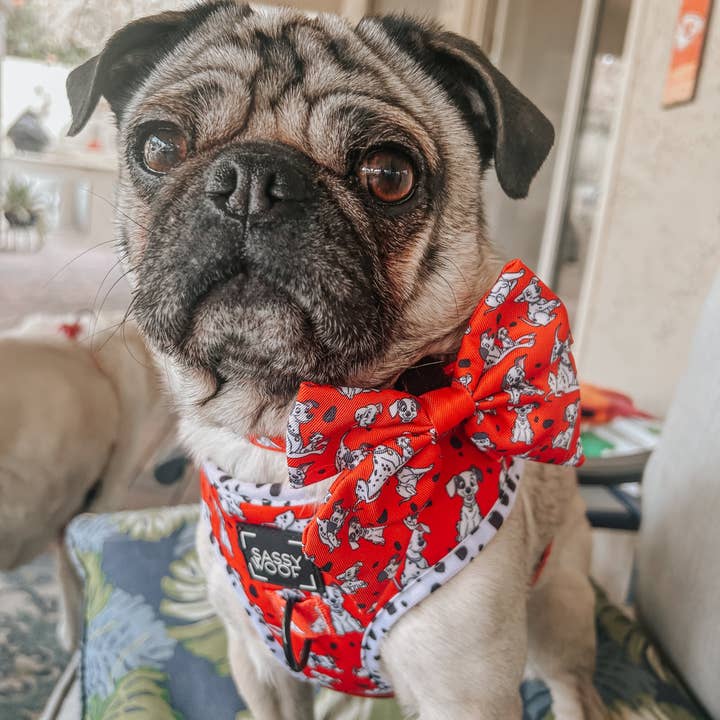 SASSY WOOF - Wholesale Pet Bow Tie - Dog - Dog Sailor Bow - Disney's 101 Dalmatians6