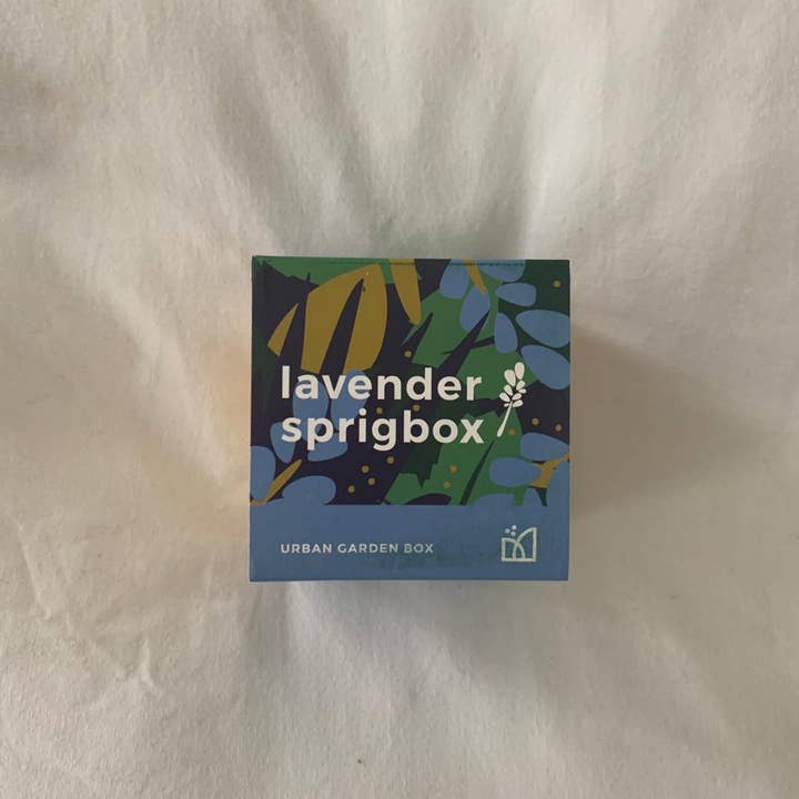 Sprigbox - Wholesale Plant Seeds - Lavender Grow Kit | Flower Gift | Wooden Planter Box3