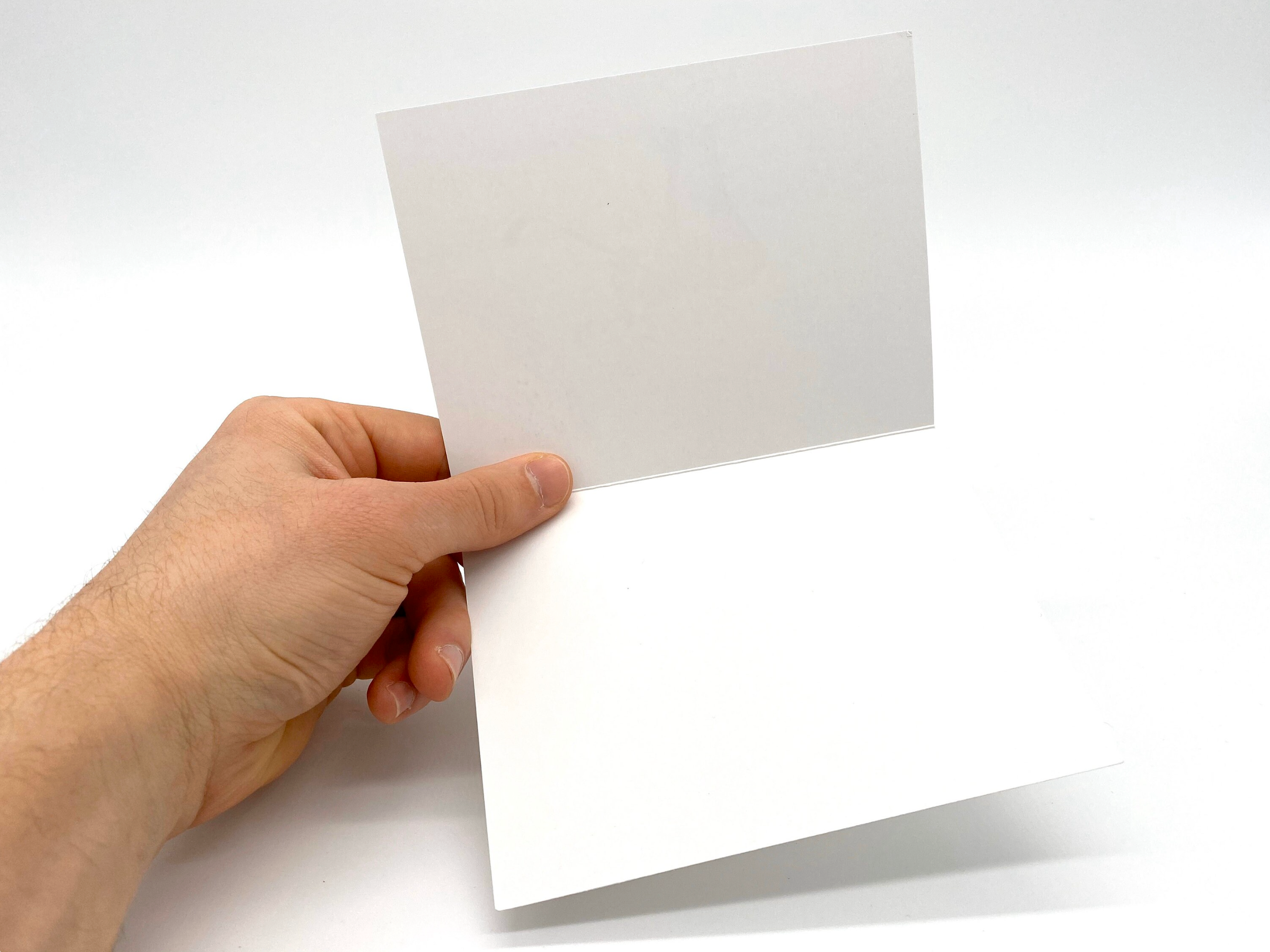 FortHouse Studios - Wholesale Everyday Greeting Card - Hockey Moose Cards1