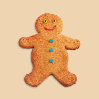 Cookie Crumbles - Wholesale Cookie Mix - Fabulous Gingerbread Mix1