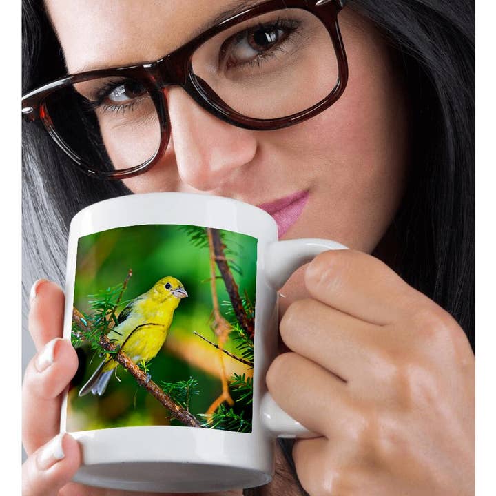 3dRose - Wholesale Coffee Mug - 3dRose, USA, Minnesota, Mendota Heights, Mohican Lane, American Goldfinch, Mug9