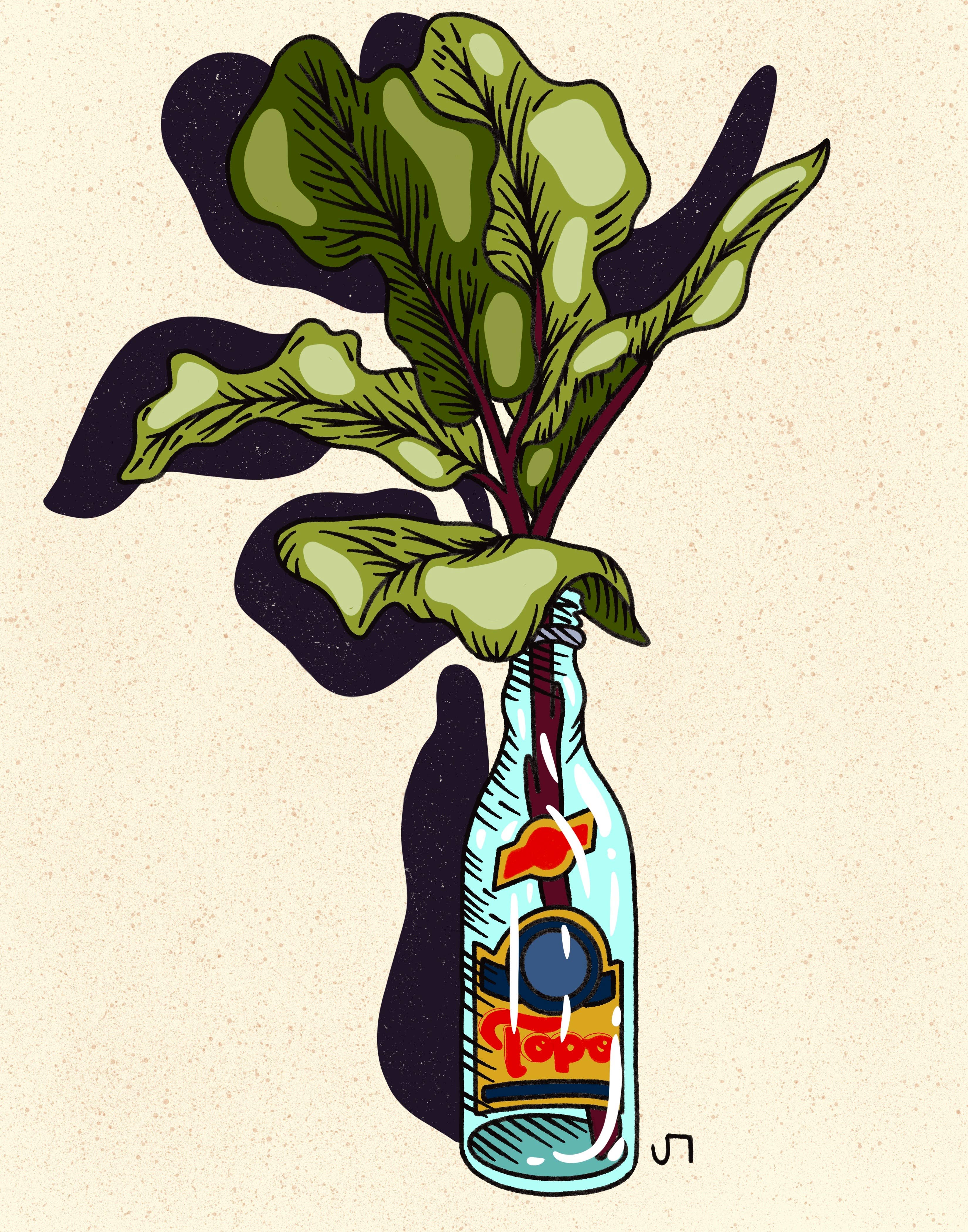 Howdy Studio - Vente Affiche d'art - Bouteille Topo Chico0