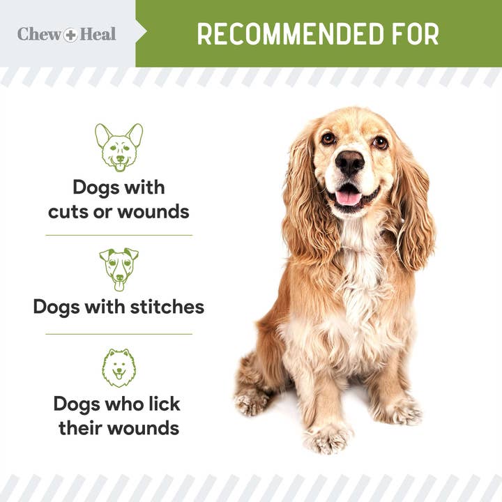 Chew + Heal – Großhandel Balsam für Haustiere – Hund – Flüssiger Verband für Hunde, unverzichtbar für Erste Hilfe bei Haustieren, 4 Unzen