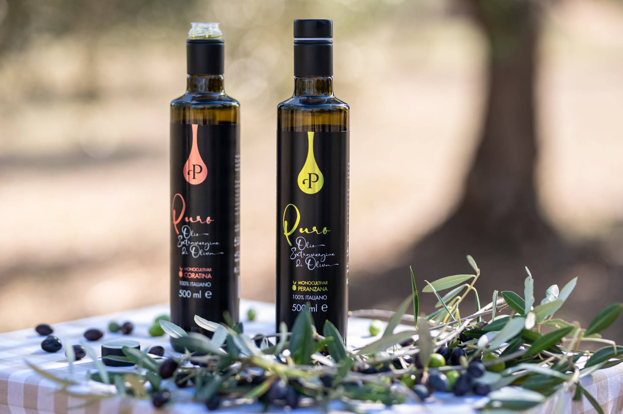OLIO REALE 250ml - 500ml Olive Oil Bottle - Gourment Bottle - Wholesale