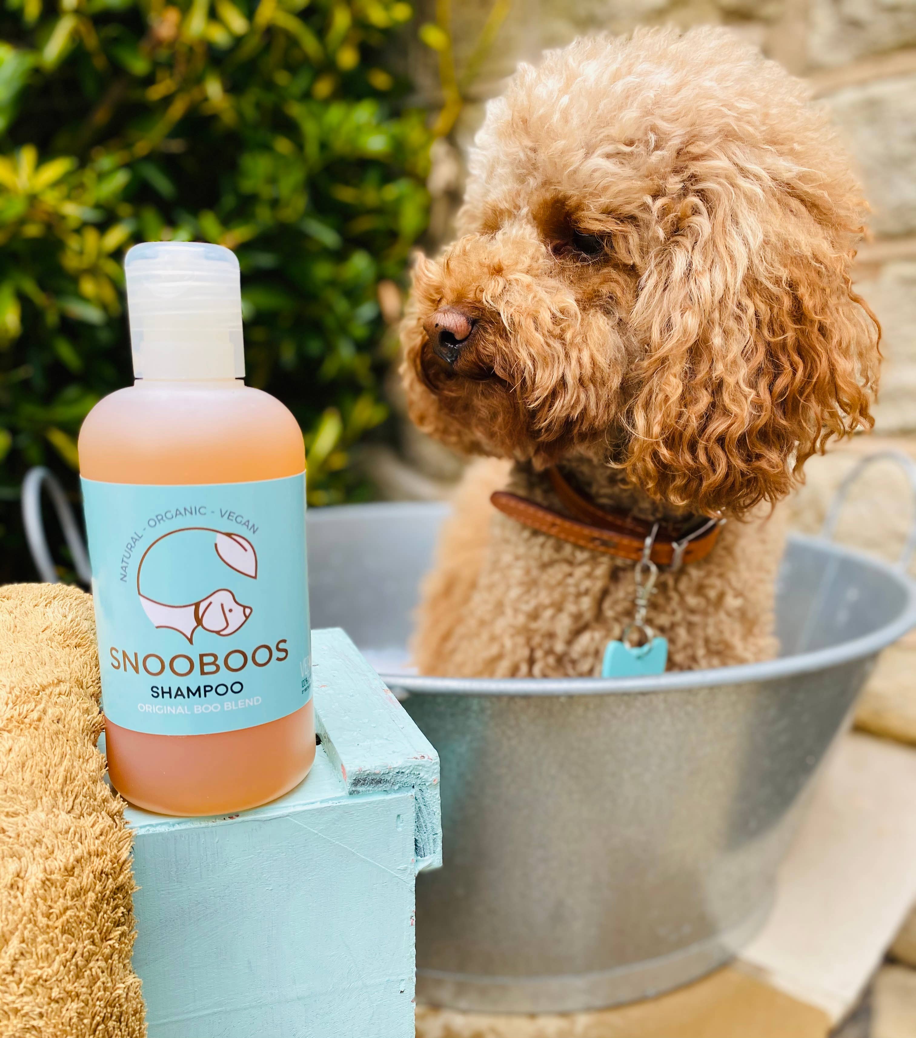 Snooboos Ltd - Wholesale Pet Shampoo - Dog - Snooboos Natural Dog Shampoo with Cedarwood & Juniper3