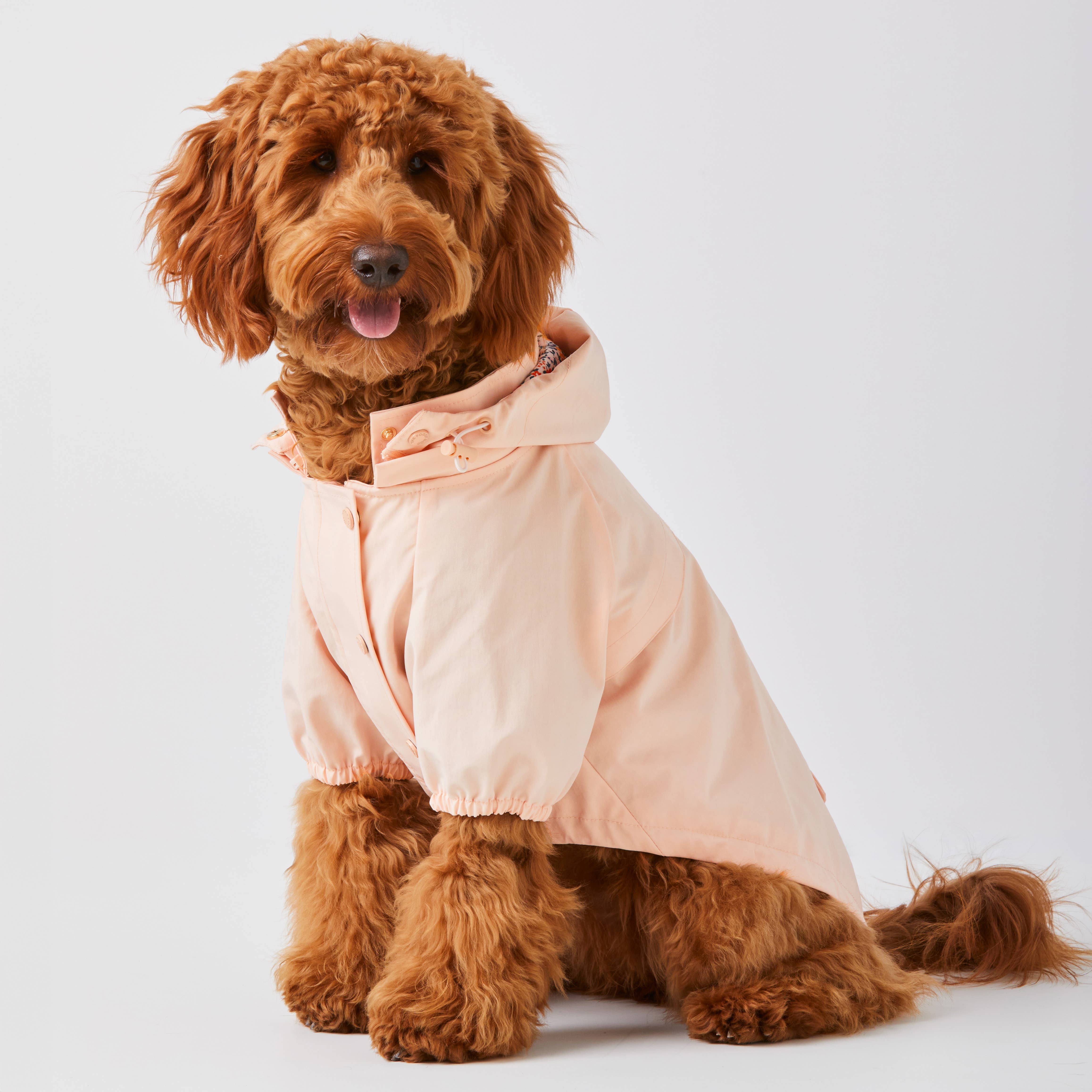 The Foggy Dog - Wholesale Pet Raincoat - Dog - Petal Pink Dog Raincoat6