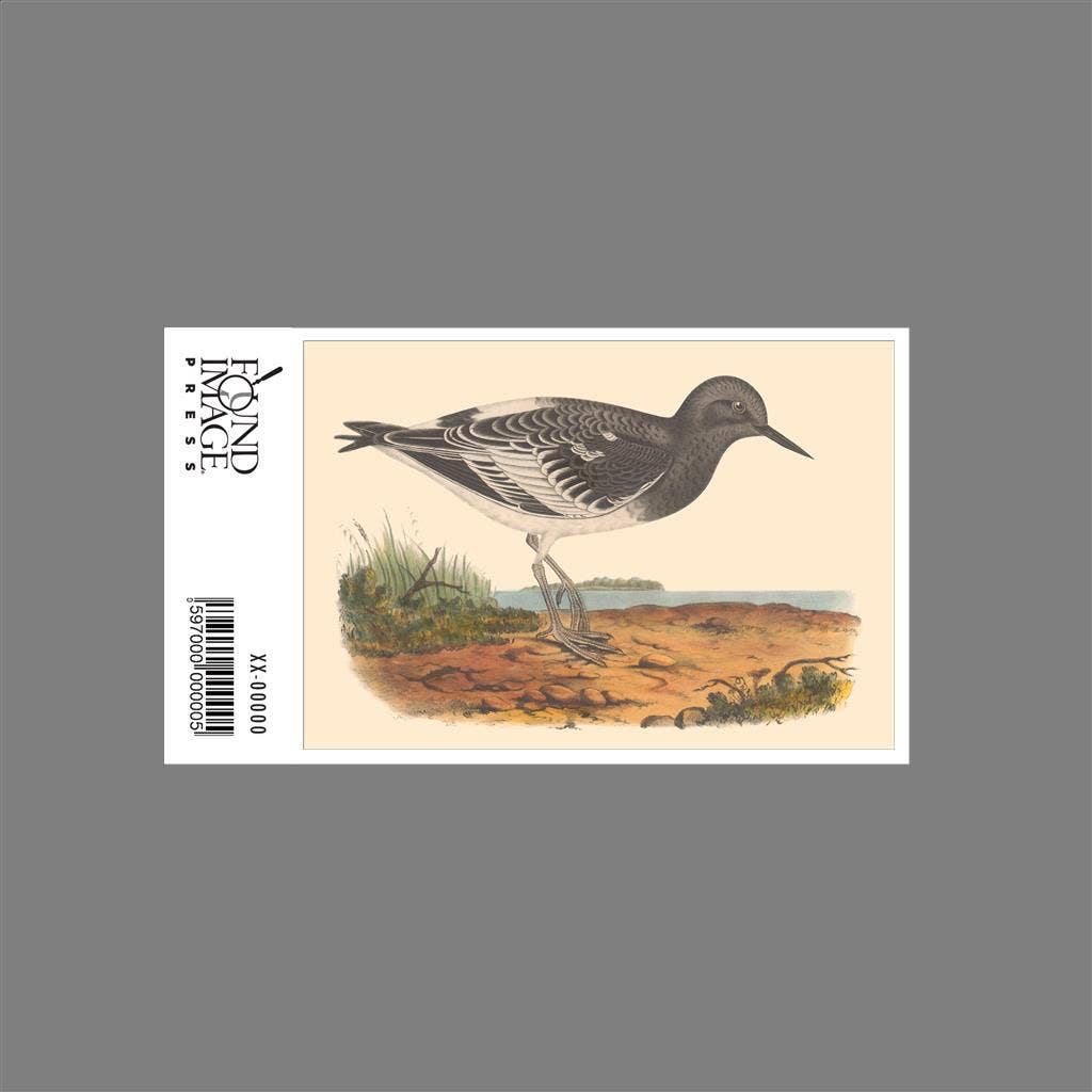 Found Image Press - Wholesale Sticker - Sticker BD-485 Black Tern1