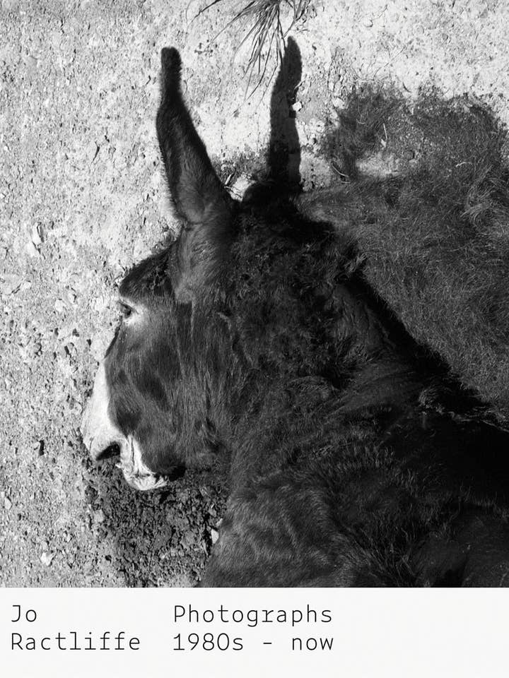 Jo Ractliffe : Photographies des années 1980 à aujourd'hui pour la vente par Texas Bookman